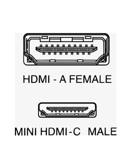 Adattatore HDMI-A / MINI HDMI-C